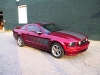 mustang.jpg