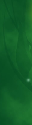 Greenscreen Graphics of Rutland, VT