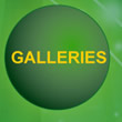 View Galleries of Greenscreen Graphics' Work