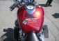 Motorcycle gas tank graphics